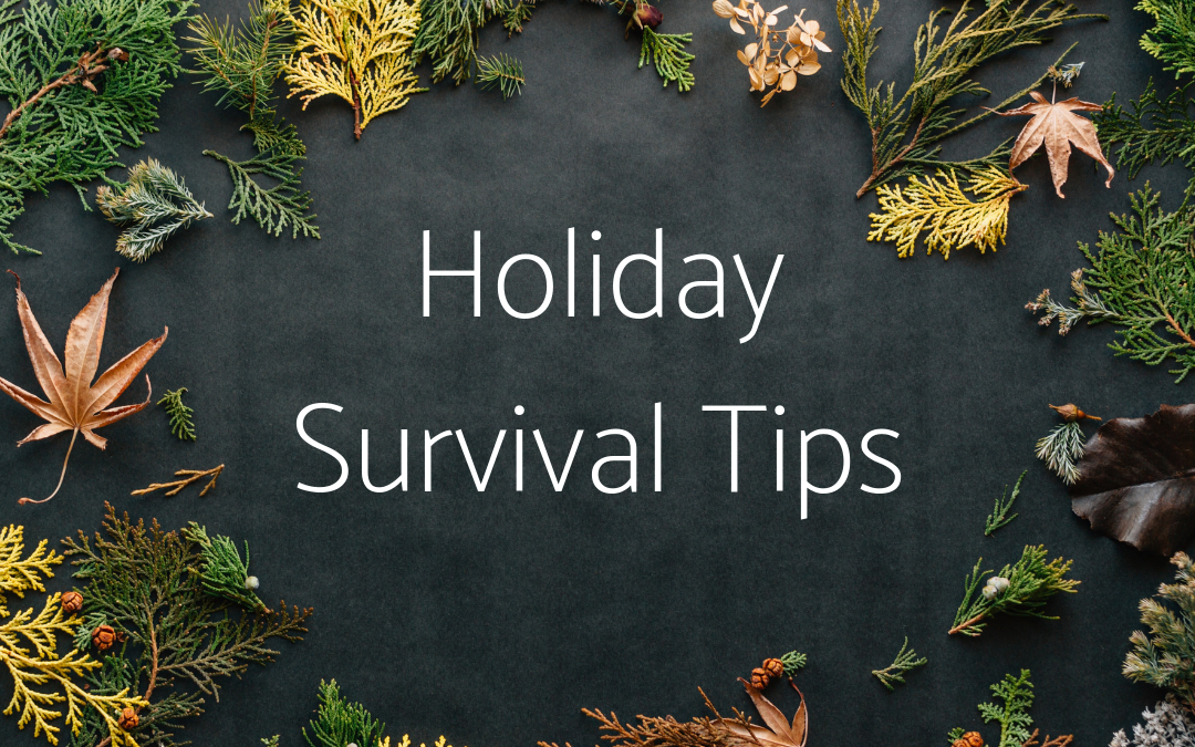 Holiday Survival Tips